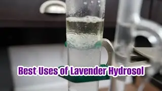 Benefits and Uses of Lavender Hydrosol. How to make lavender hydrosol and essential oil with ADI.