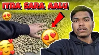 Itna sara आलू 😲|| Vlog video | My first vlogs | mini Vlog | Lifestyle Vlogs | 