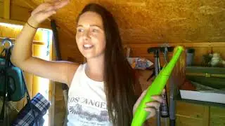 AUGUST HARVEST/ALLOTMENT GARDENING UK.