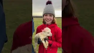 A magical day as we welcome 5 lambs to our team. Well done to our students for animal care