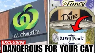 12 Wet Cat Food Brands Australians Should Never Buy! (And The 3 That Are Worth It)