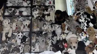Dog and Wolf Plush Collection 2025