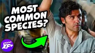 Why Are Humans Most Common Species in Star Wars? 🤔 #shorts #starwars