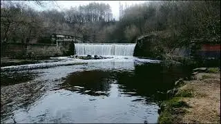 Reddish Vale Country Park Walk