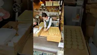 Mochi At Nakatanidou Nara Japan 🇯🇵