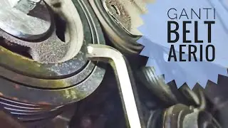 Ganti drive belt / fan belt Aerio