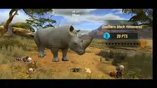 Hunting clash: on the road to level 55