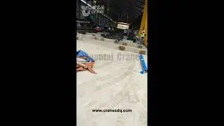 7 Sets MHO Gantry Cranes in Philippines