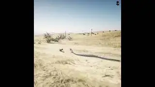 Snake chase Rabbit in other to eat. #viral #facts #story #storytime #stories #storytelling #fyp 