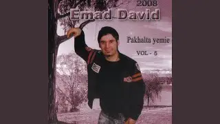 Kot Zmarta