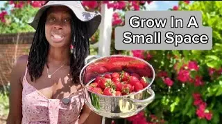 Grow Strawberries in a Small Space