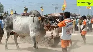 మోర్జంపాడు గ్రామంలో సీనియర్ 2వ బహుమతి విజేతగా సుంకి సురేంద్ర రెడ్డి కంబైన్డ్ బోరెడ్డి కేశవ రెడ్డి