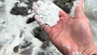 Cách sử lý ao ốc nhồi trước khi thả giống hiệu quả 