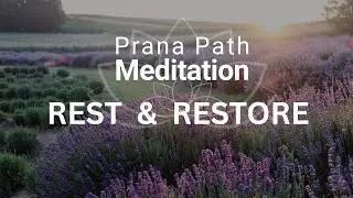 When Burnout Has You Trapped | Healing Meditation