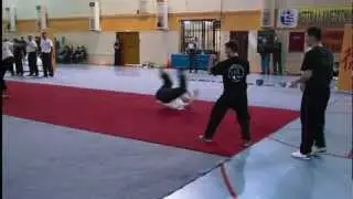 Wushu festival 2013