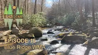 Ep. 15 | Blue Ridge Wildlife Management Area, Most Beautiful Campsite to Date