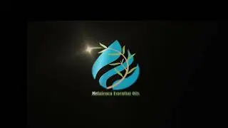 Animation logo design Brand Identity using after effect 2020