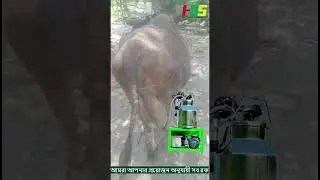 HILIFE MILKING MACHINE