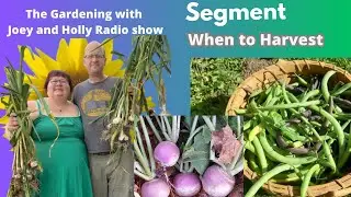 Seg1 of S9E14 When to harvest what to look for - The Gardening With Joey and Holly Radio Show