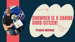 Project Nutmeg: Chowder is a Certified Good Boi!