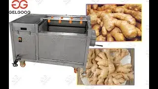 Video Of Ginger Washing Peeling Machine@gelgoog.com