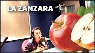 Ceracchini fruttariano, aspirante melariano - La Zanzara 5.6.2017