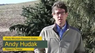 Meet Dr. Andrew Hudak, Research Forester