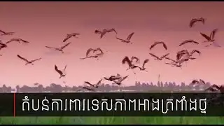 តំបន់ការពារទេសភាពអាងត្រពាំងថ្ម | Ang Trapeang Thmor Landscape Conservation