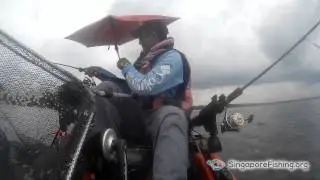 Barramundi on Native Slayer 13 Propel kayak in Singapore
