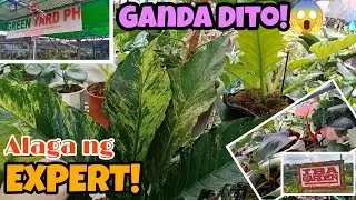 GREEN YARD PH's Garden tour sa Iba, Silang. Magagandang Halaman, Alaga ng Expert! #landscape #indoor