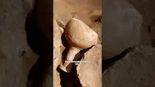 Tumba Secreta en Petra: Descubren C&aacute;mara Nabatea