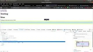 Hacker101  - Micro CMS v1