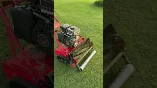 Some slow mow! #grass #lawn #yard #asmr