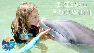 I KISSED a DOLPHIN at Dolphin Quest Hawaii - Adventure Kids