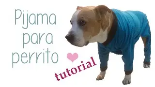 Cómo hacer una pijama para perro