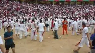 Bull Attacking in Plaza de Toros (July 9, 2012)