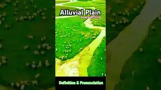 Alluvial Plain Explained #geography