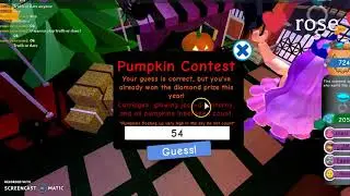 How to win the pumpkin contest in royalloween | Hashyana