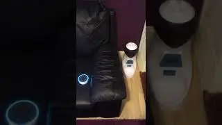 Hacked Cat Feeder to make it Smart using Sonoff WiFi Switch - Alexa Control