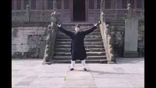 Wudang Michuan Taiji 64