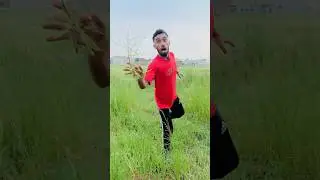 Goat turns into zombie 🧟&zwj;♀️👻👍 #funny #shorts #comedy #animals #trending #zombie #viral