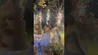 Wedding cake cutting on another level! #cakecutting #weddingreception