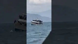 Goa hadsa 😂😂