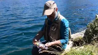 fly fishing in high mountain lakes