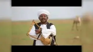 حامد إدريس علي بخيت