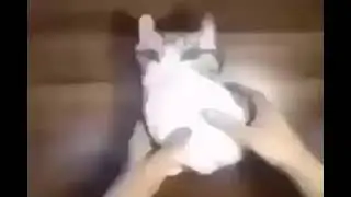 aaaaaaaaaaaaaaaaaaaaaaaaaaaaaaaaaa