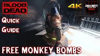 BLOOD OF THE DEAD Easter Eggs: Free Monkey Bombs Guide (4K)