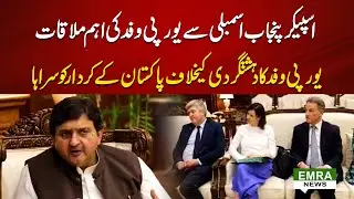 EU Delegation Praises Pakistan&rsquo;s Role Against Terrorism | Meeting with Punjab Assembly Speaker