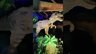 Dinosaurs Jurassic World Real Life Size Dinosaurs #dinosaur #dinosaurs #trex Dinokid 10