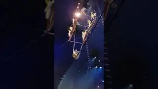 ALEGRIA!! El mejor circo del mundo 